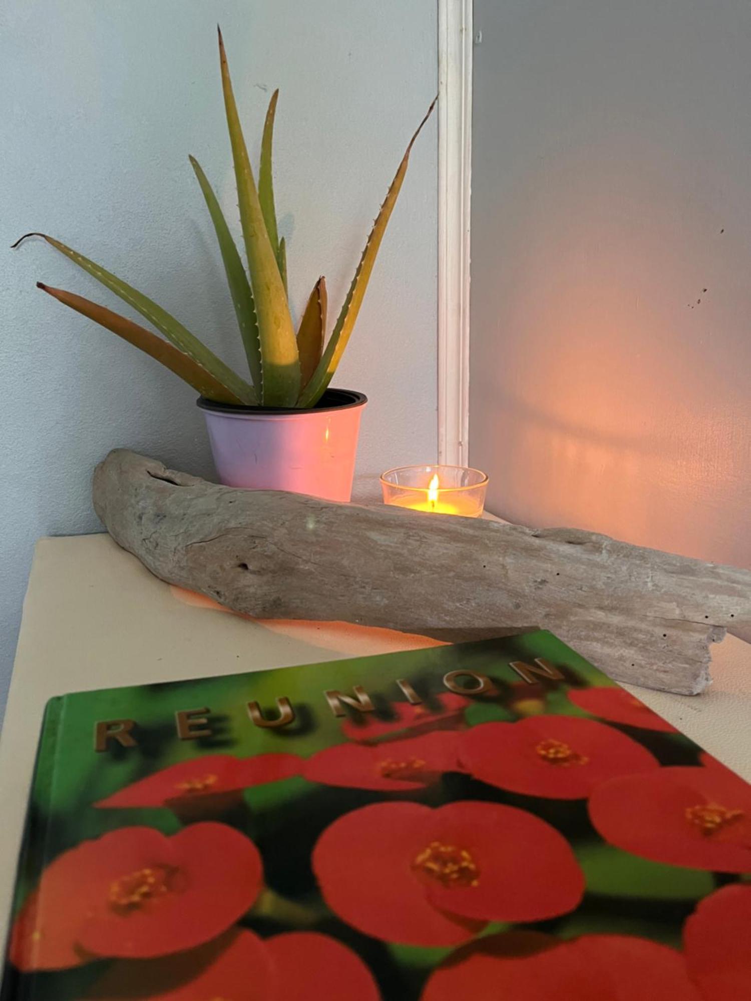 Lakour Fleurie - Ex La Case Creole Sainte-Rose Zewnętrze zdjęcie